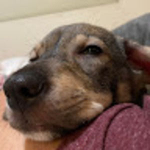 Meet your Posher, Gloria